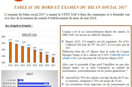 Avis CFDT SAP Bilan Social 2017