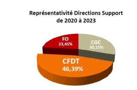 Elections Professionnelles DS. Avec 7 élus, la CFDT sera majoritaire. Merci !